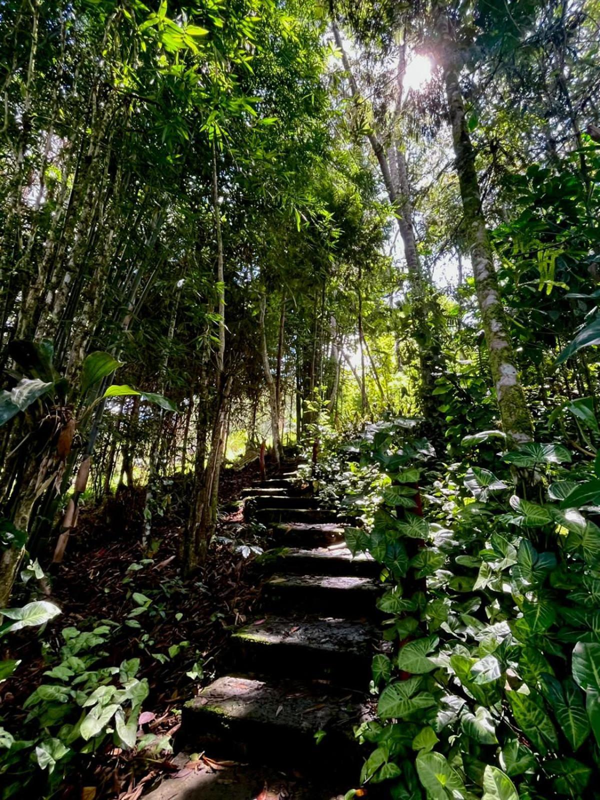 Refugio De Orquideas Villa Oxapampa Exterior photo
