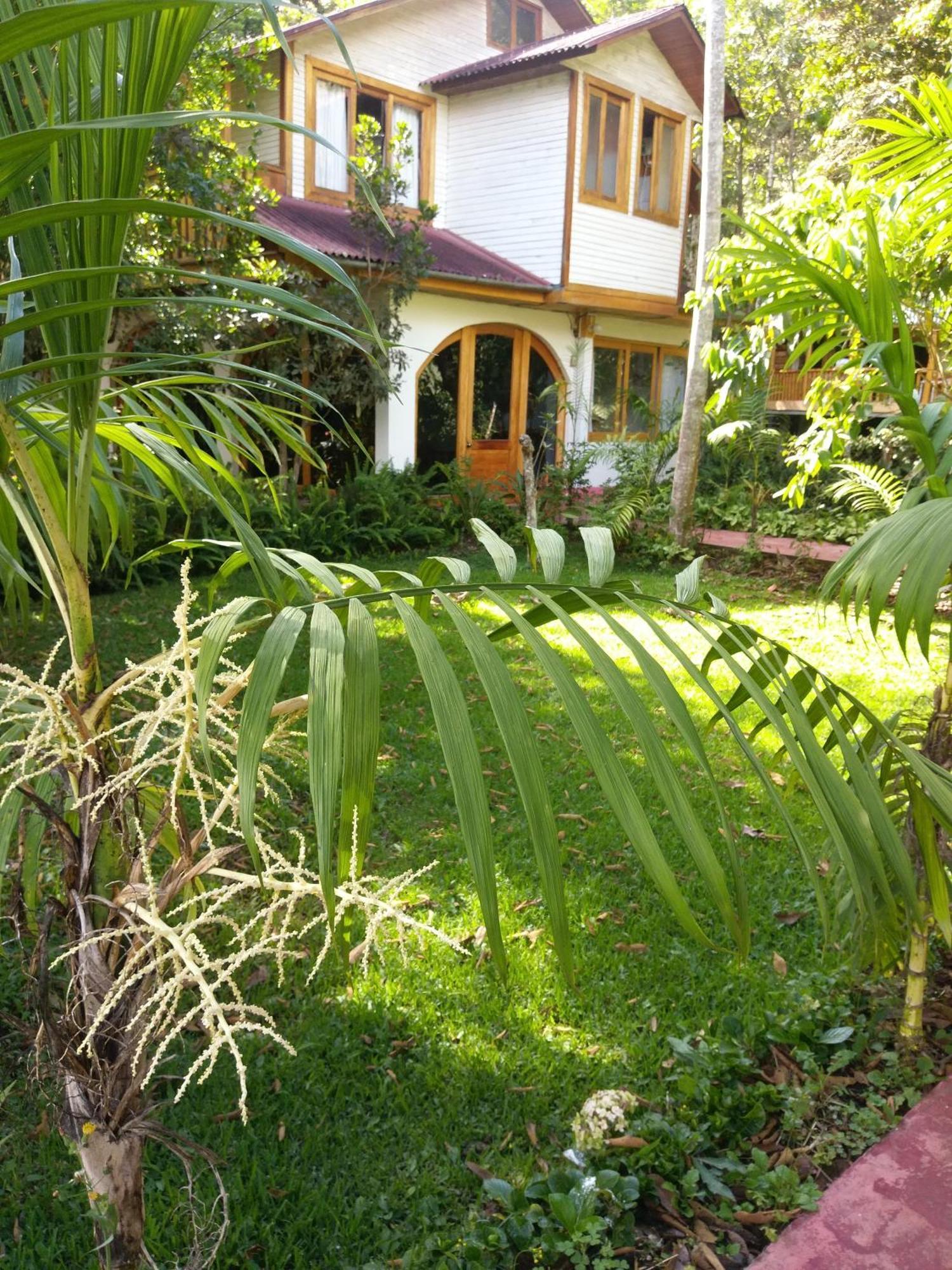 Refugio De Orquideas Villa Oxapampa Exterior photo