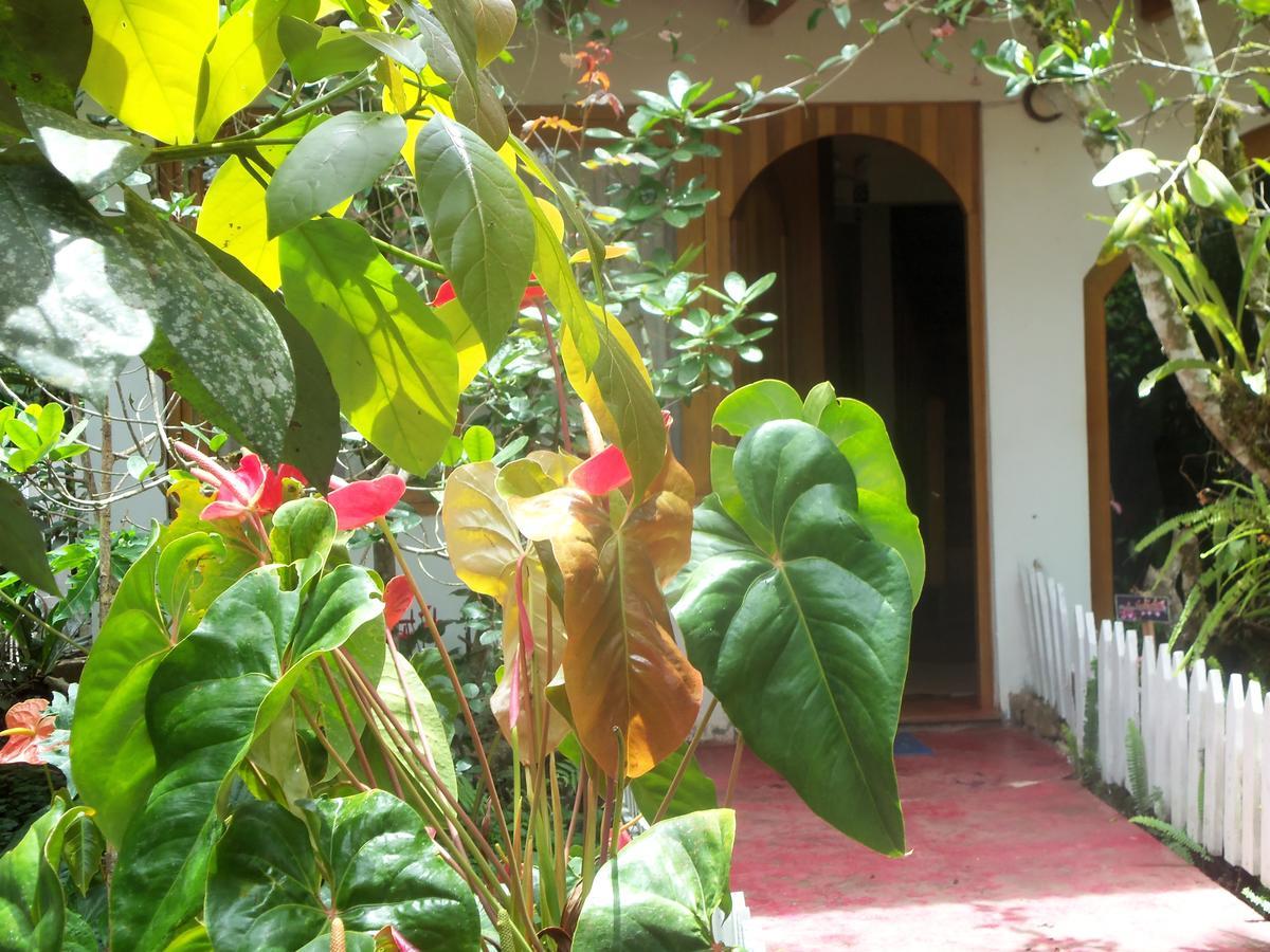 Refugio De Orquideas Villa Oxapampa Exterior photo